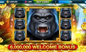 3333btd